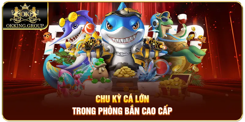 Chu kỳ cá lớn trong phòng bắn cao cấp