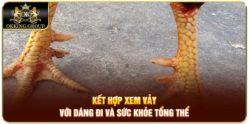 Kết hợp xem vảy với dáng đi và sức khỏe tổng thể
