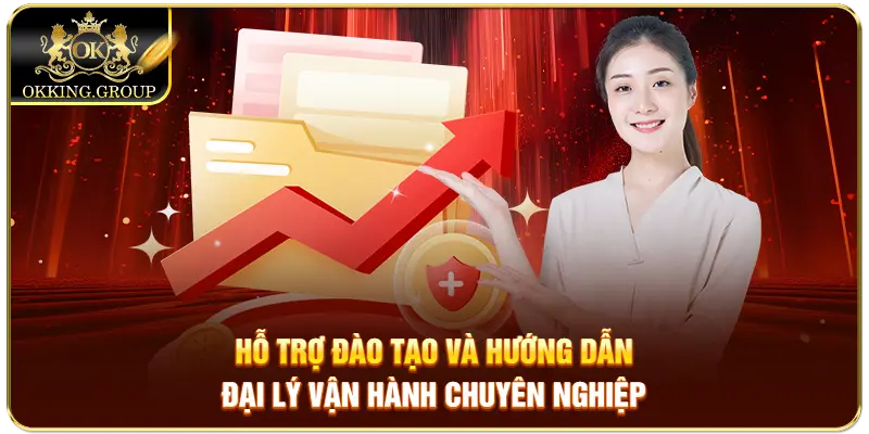 Hỗ trợ đào tạo và hướng dẫn đại lý vận hành chuyên nghiệp